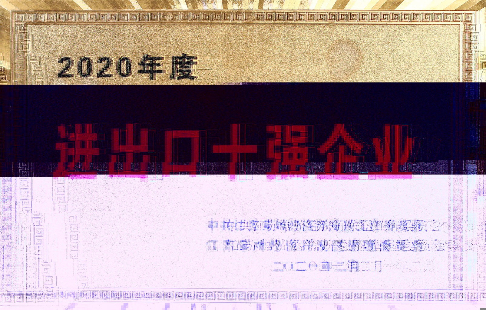 2020年度進出口十強企業