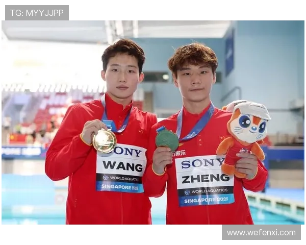 十五运会男子一米板精彩对决王宗源夺金郑九源勇夺铜牌展现中国跳水实力